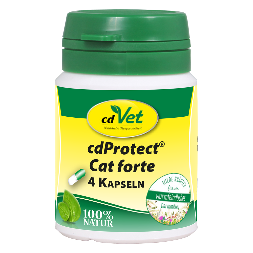 cdProtect Cat forte 4 Kapseln -Sorbe-