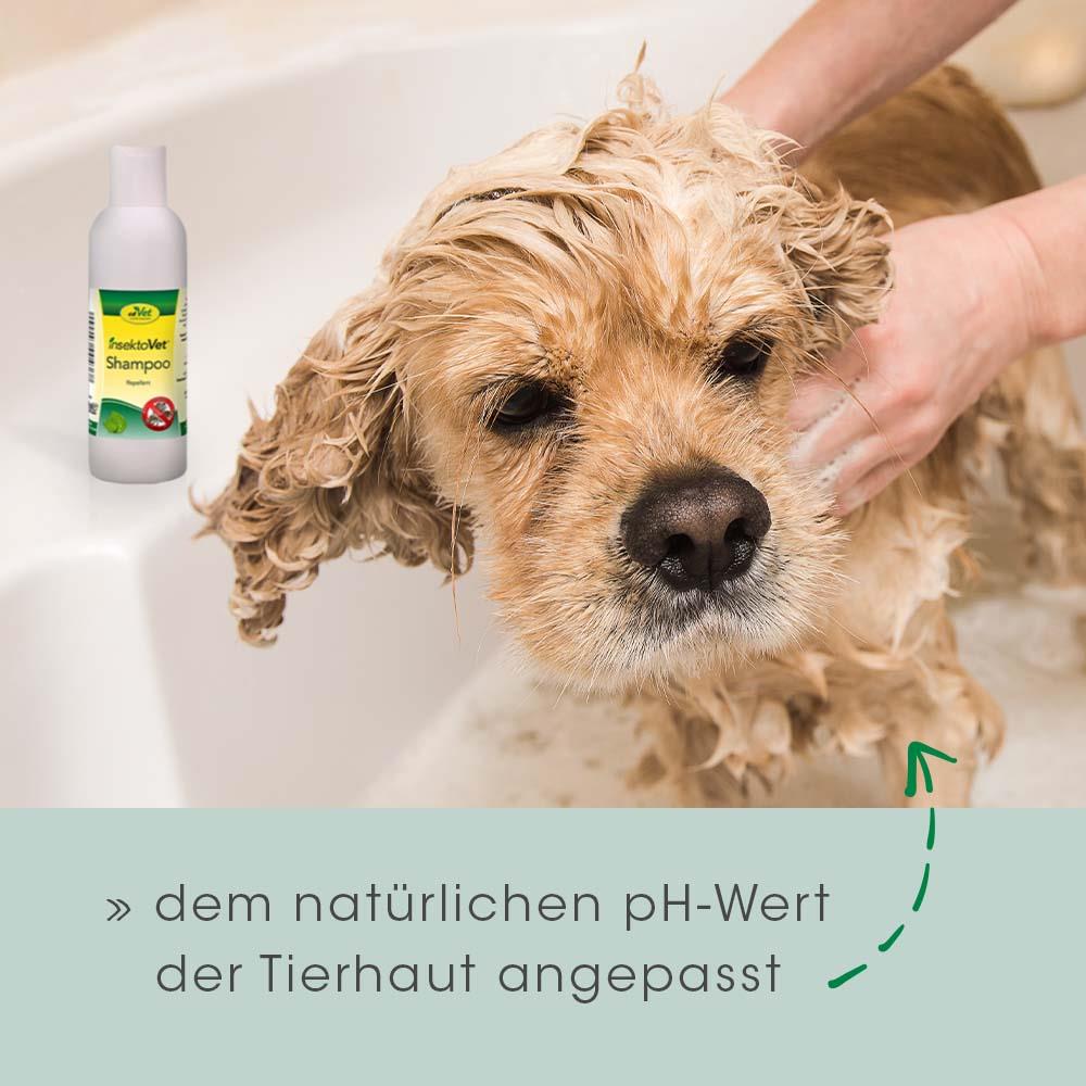 insektoVet Shampoo 100ml