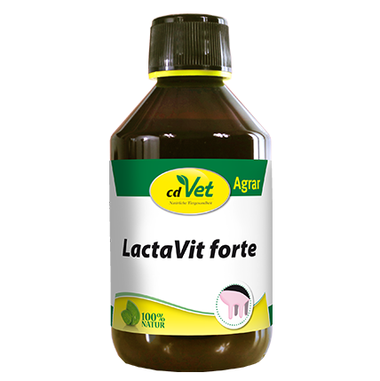 LactaVit forte